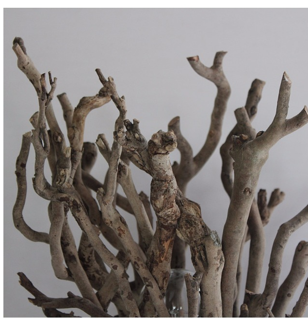 Handmade Branch Desk Lamp