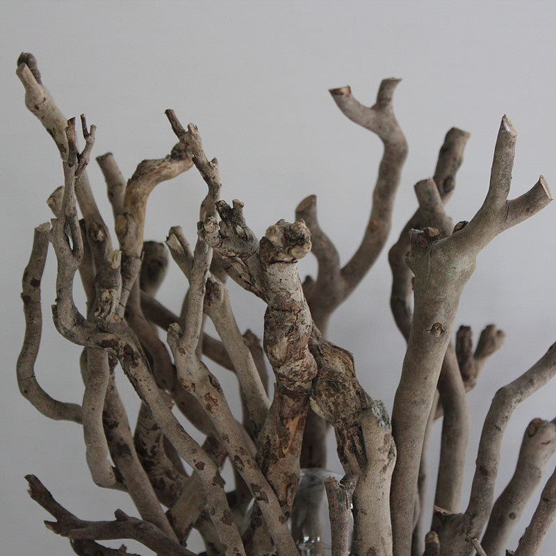 Handmade Branch Desk Lamp
